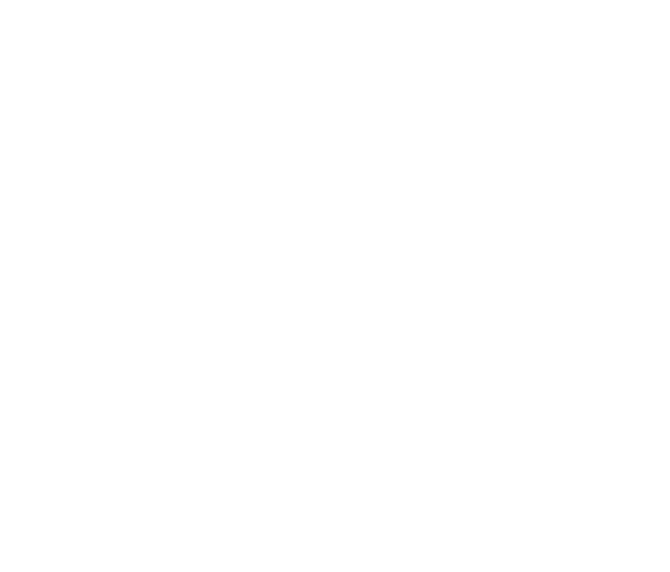 The Moth